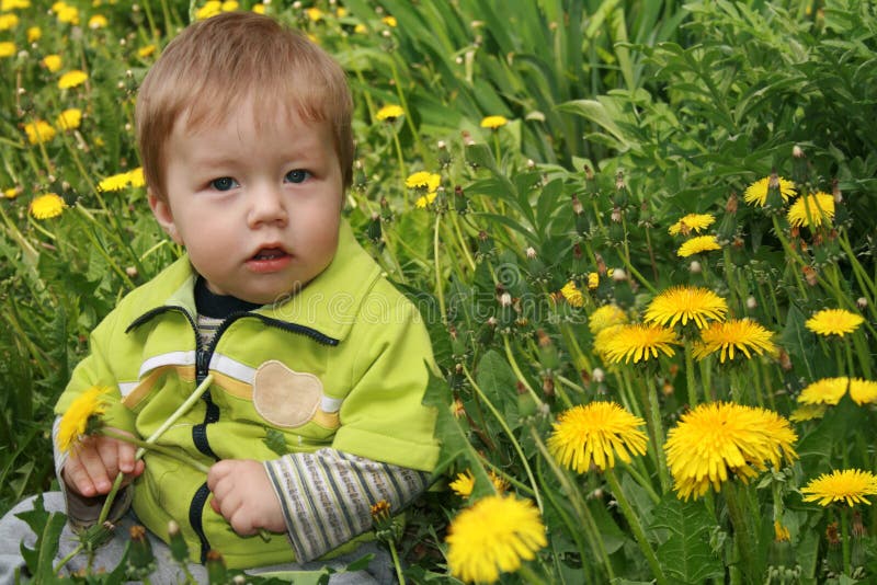 Child with the dandelion