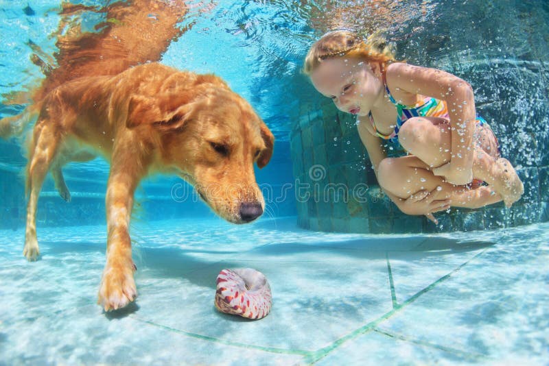 Child with dog dive underwater in swimming pool