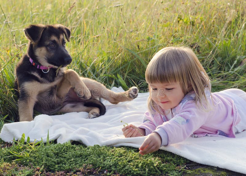 Child with dog in nature stock photos Child with dog in nature stock photos