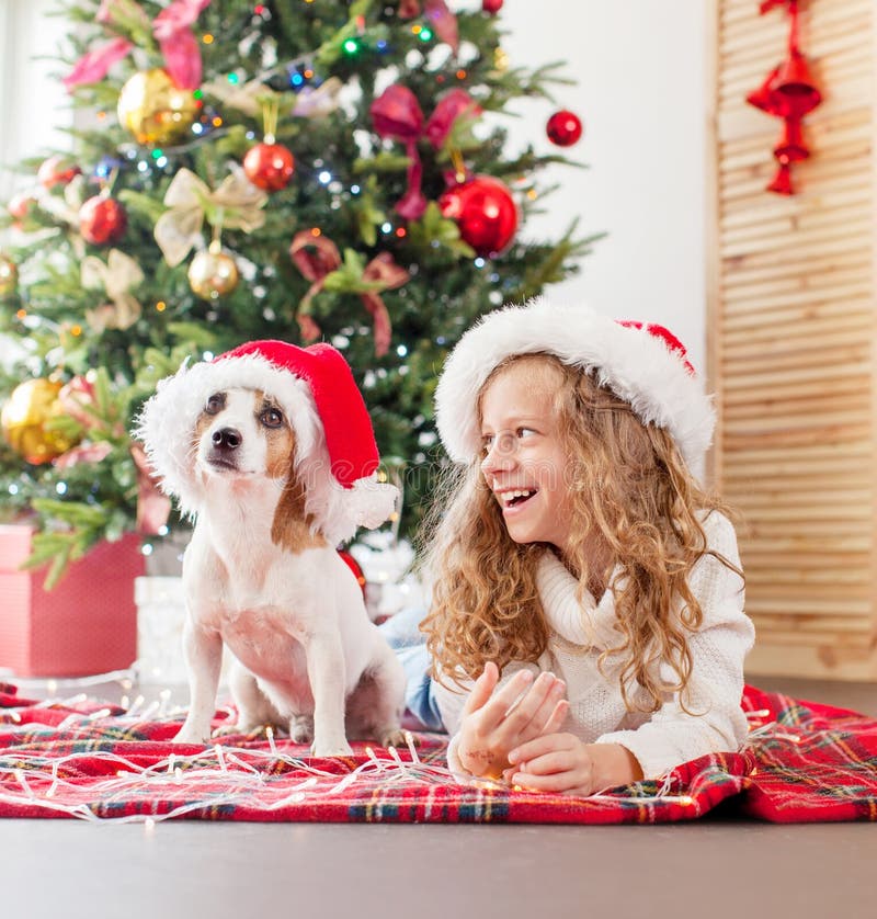 Child with Dog Near Christmas Tree Stock Photo - Image of family, happy ...