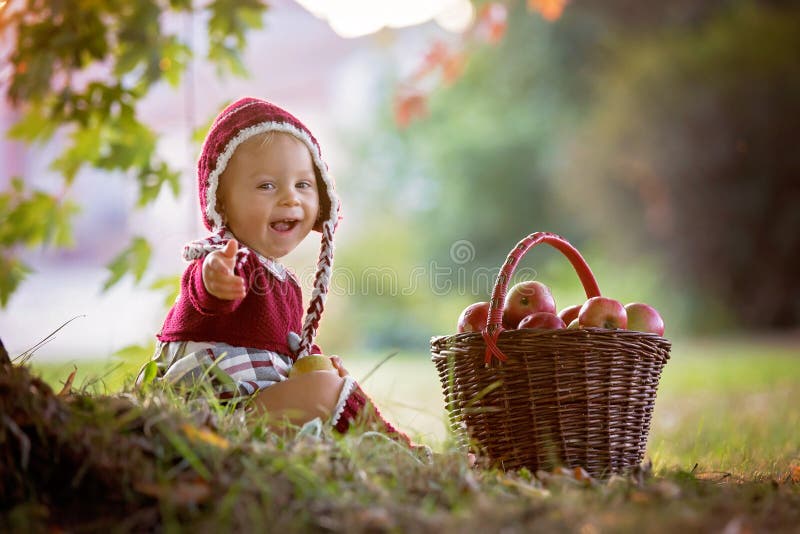 Child eating apples in a village in autumn. Little baby boy play