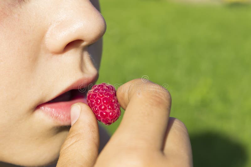 Child eats raspberries stock image. Image of healthy 32577749