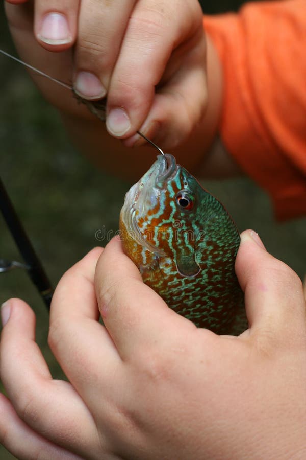 Child fishing for bream