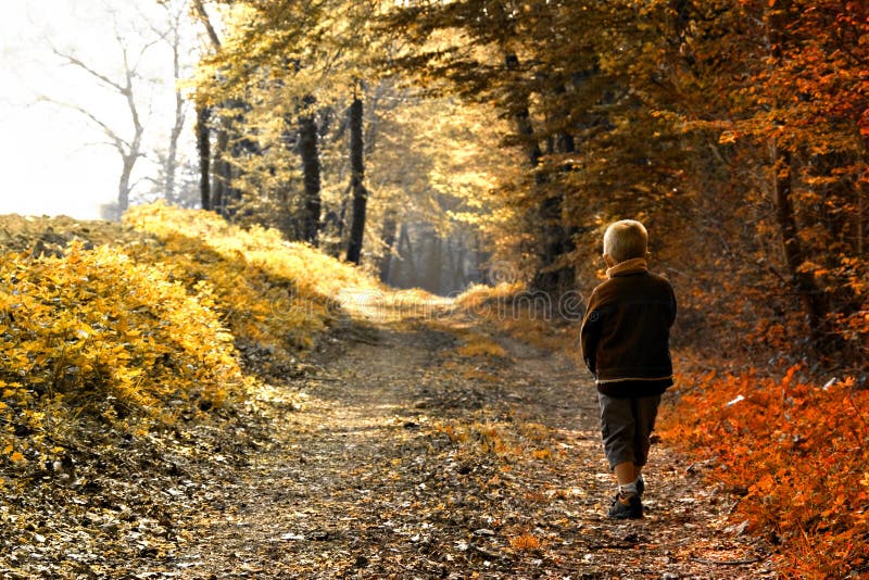 Child in forest