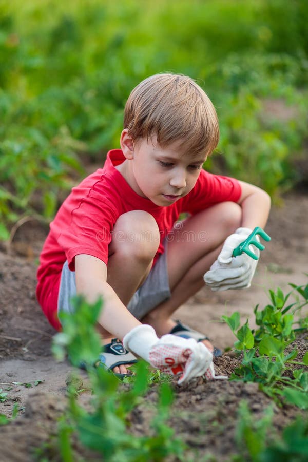 Child gardening