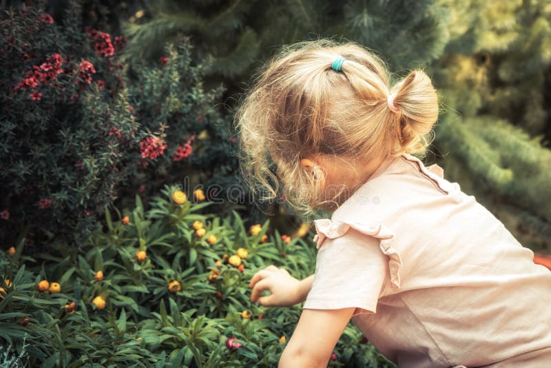 Child girl smelling beautiful flowers in blossoming summer park concept saving nature lifestyle royalty free stock images