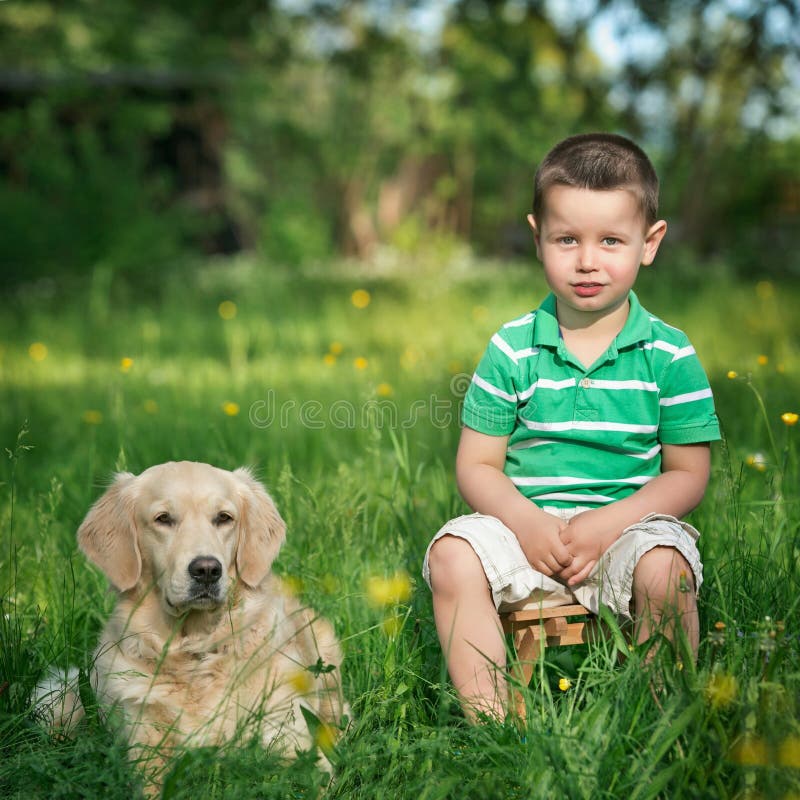 Child and golden retriever stock image. Image of love - 31199743