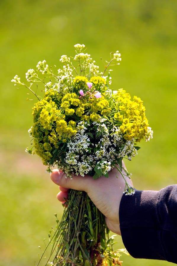 Child hand with flowers