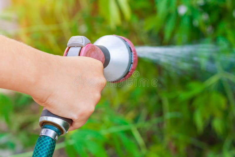 Child hand with sprinkler, watering a garden on a background of green plants in bokeh stock photography Child hand with sprinkler, watering a garden on a background of green plants in bokeh stock photography