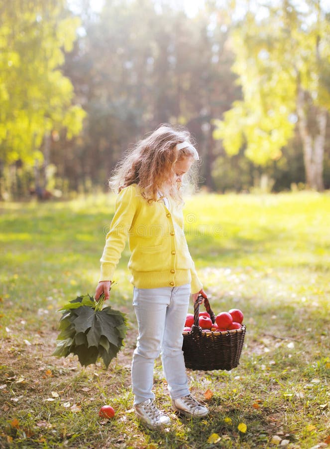 Child holding basket with apples walking in autumn