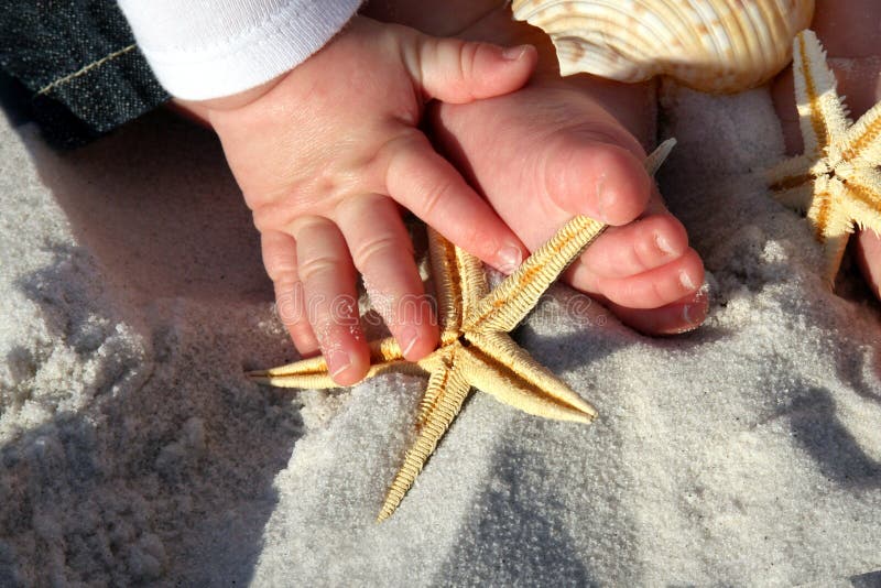 Child holding a starfish at the beach