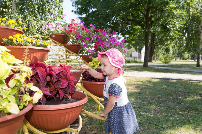The Child is Looking at Flowers Stock Image Image of beautiful, farm