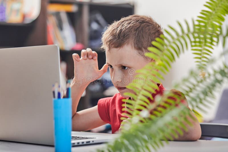 Child is looking for information on the Internet through a laptop. self-study at home, doing homework. Intently reading the stock images Child is looking for information on the Internet through a laptop. self-study at home, doing homework. Intently reading the stock images