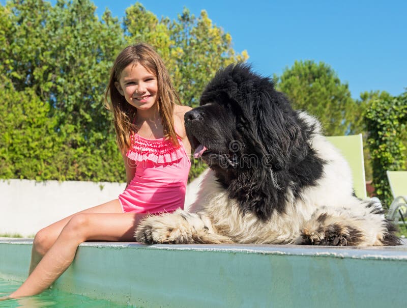 Child and newfoundland dog in swimming pool stock photo Child and newfoundland dog in swimming pool stock photo
