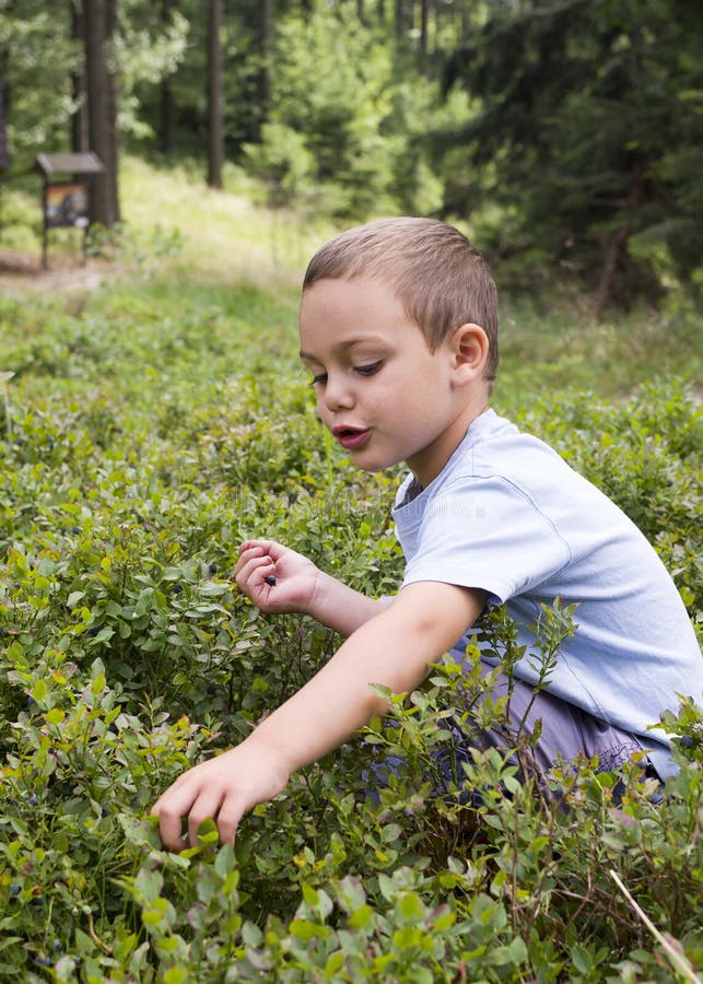 470 Kid Eat Blueberries Stock Photos Free & RoyaltyFree Stock Photos