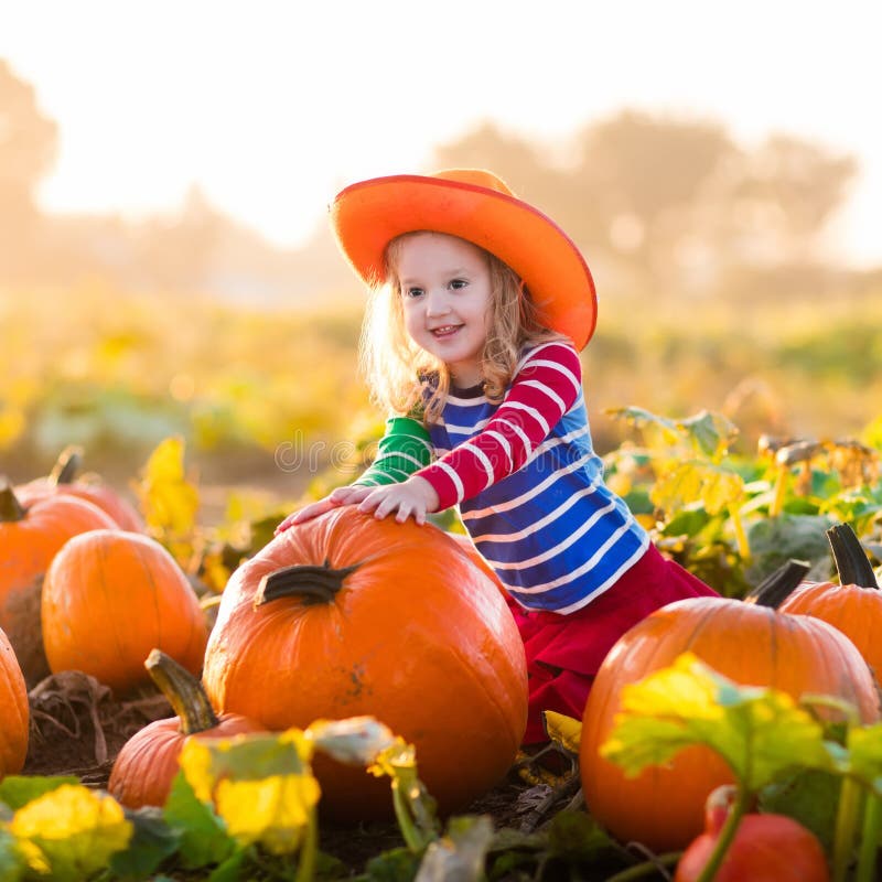 Child Playing on Pumpkin Patch Stock Image - Image of girl, fresh: 75600315