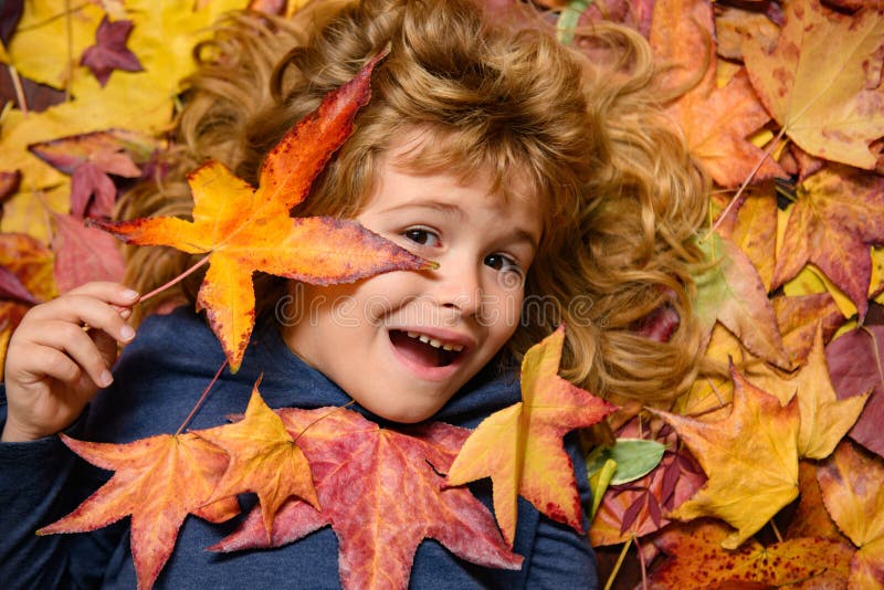 Child Portrait Close Up, Kid Lying in Autumn Leaves. Children Throwing ...