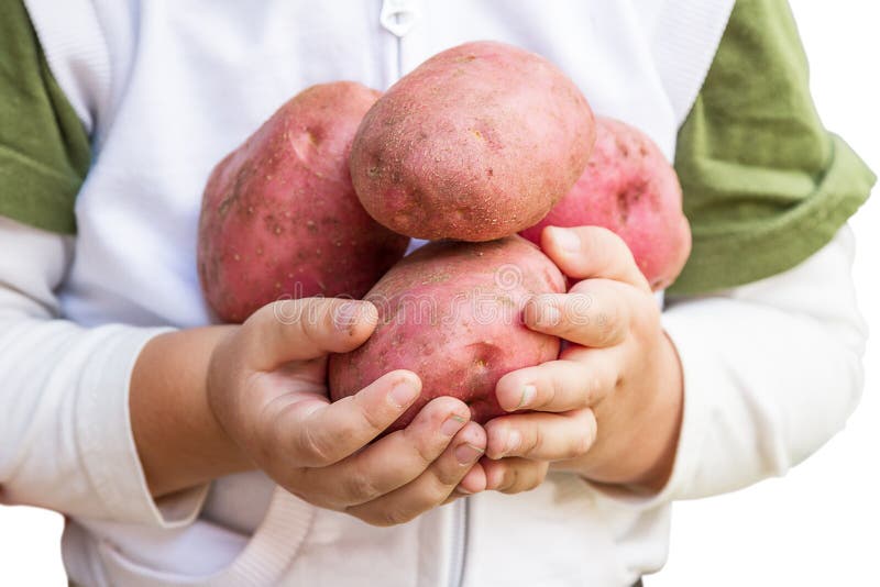 Child with potatoes