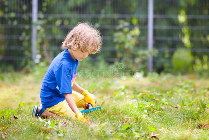 Child Pulling Weeds in Summer Garden Stock Photo - Image of farmer ...