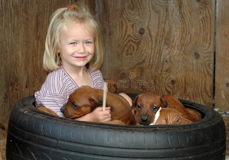 An active happy child together with animals: sitting in an old tyre with a litter of Rhodesian Ridgeback dog puppies and smiling. Little girl is holding one favorite best friend puppy in her arms to cuddle and to play with. Kid and animals as a team have a great friendship. They are best friends. Rhodesian puppies stock images, royalty-free photos and pictures