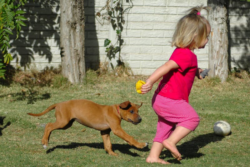 Attiva bambina bambino a giocare con il suo amico, un Rhodesian Ridgeback dog cucciolo animale domestico in giardino.