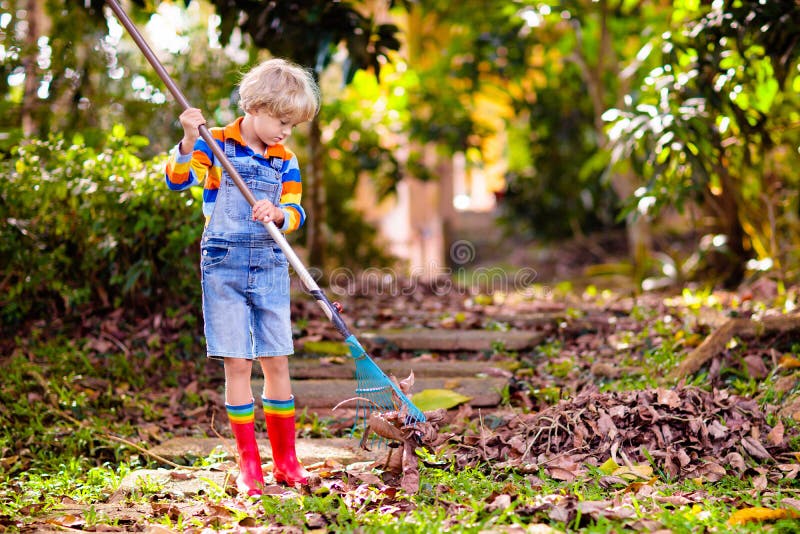 Child and Rake in Autumn Garden. Kid Raking Leaves Stock Image - Image ...