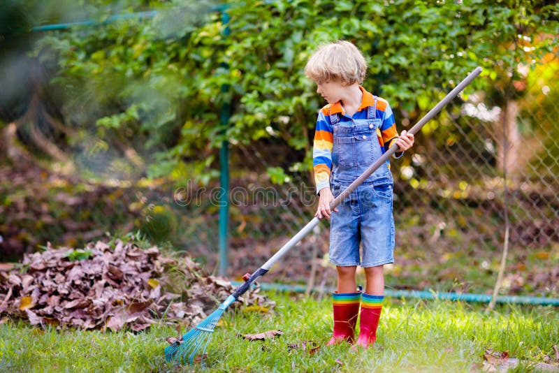 Raking leaf pile stock image. Image of maple, rake, leaf - 45856201