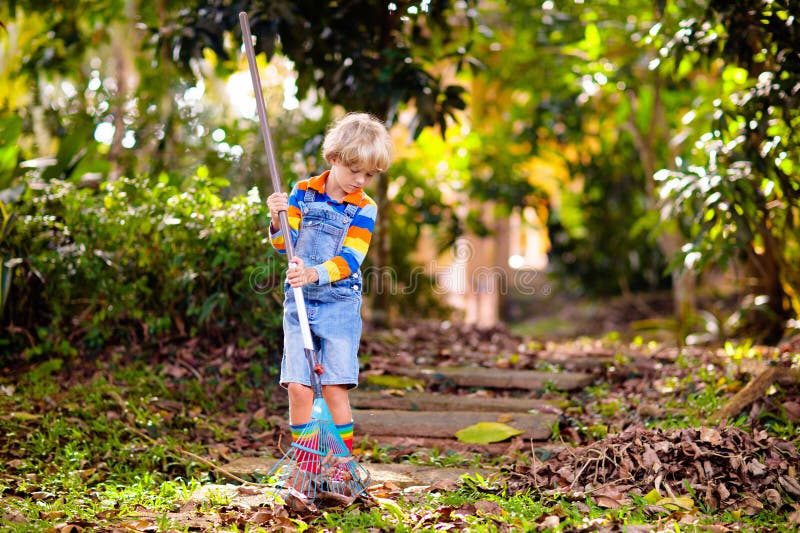 Child and Rake in Autumn Garden. Kid Raking Leaves Stock Image - Image ...