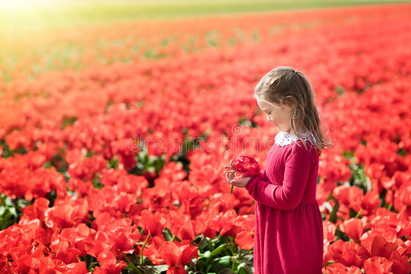 Child in red flower field. Poppy and tulip garden.