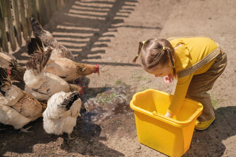 Rustic Chicken Coop/Farm Feed Bucket Rustic Chicken Coop/Farm Feed Bucket