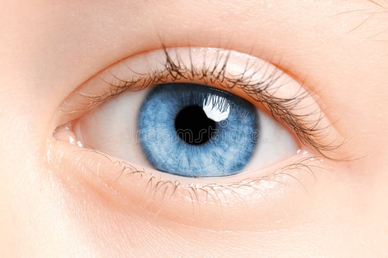Child s eyes stock image. Image of natural, clean, eyebrow 45018945