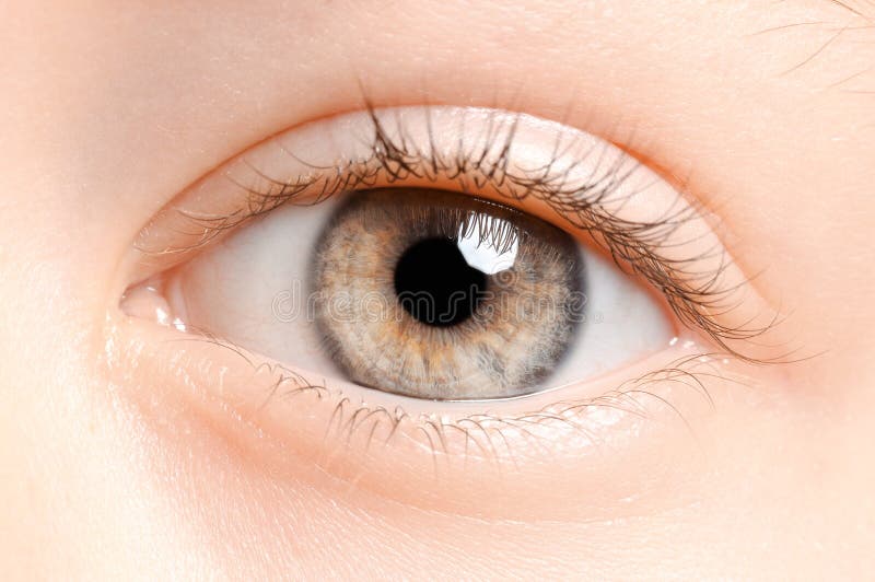 Child s eyes stock photo. Image of iris, focus, beautiful 45317730