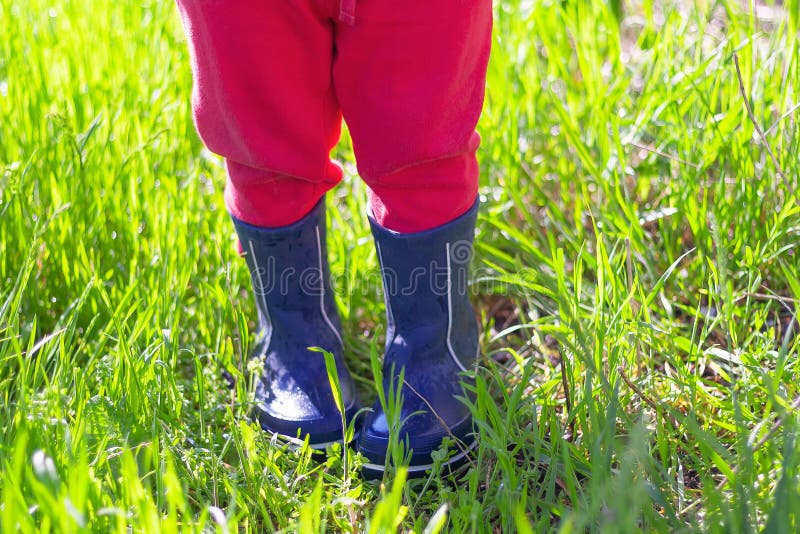 Child`s Feet in Rubber Boots on Wet Green Grass Stock Photo - Image of ...