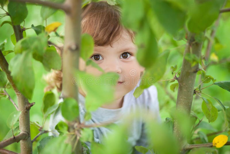 Cute funny baby playing hide and seek game outdoors on warm summer day. Cute funny baby playing hide and seek game outdoors on warm summer day.