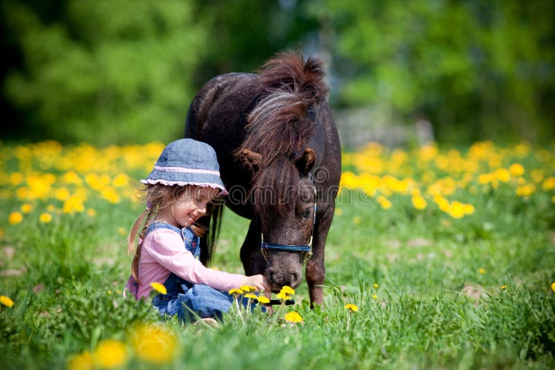 Child and small horse in field