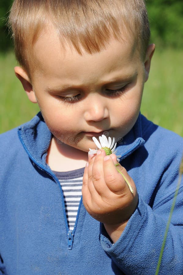 Child smelling marguerite