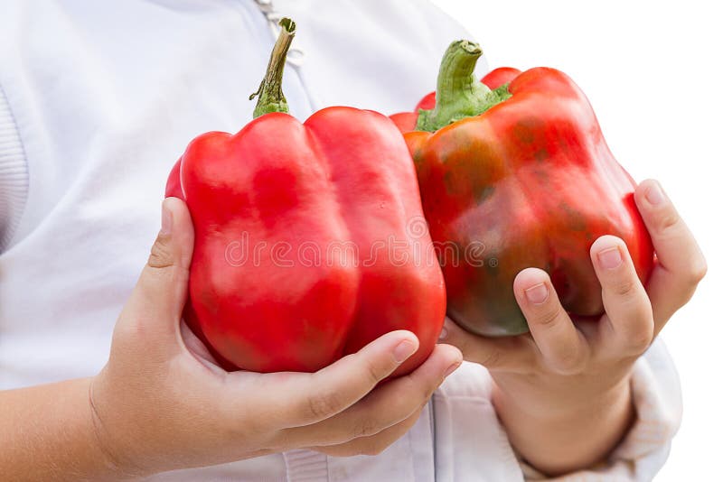 Child with sweet peppers stock image. Image of outdoors 26449209