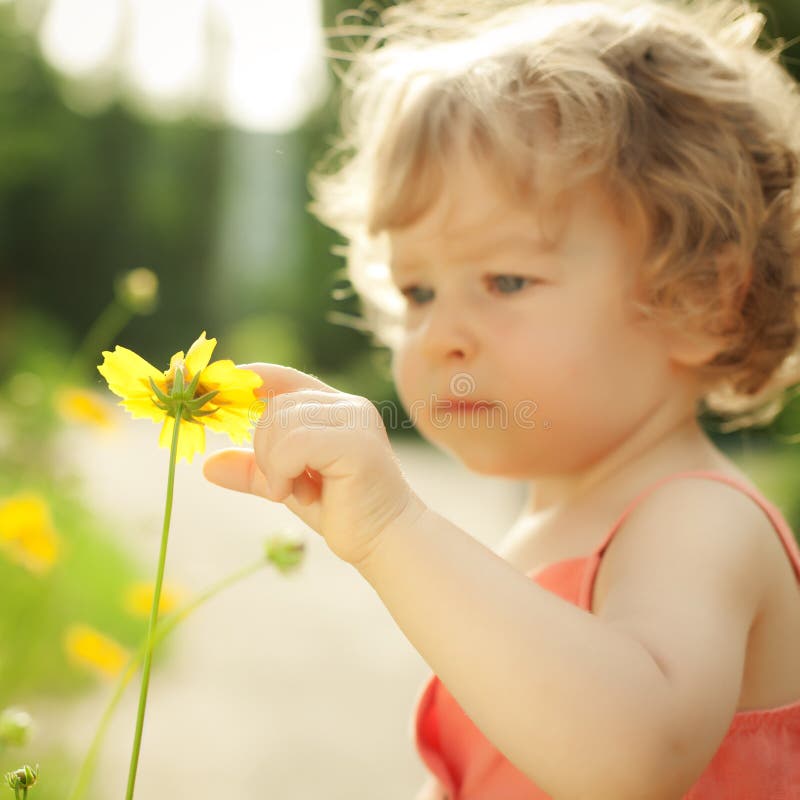Child touching spring flower stock photo Child touching spring flower stock photo