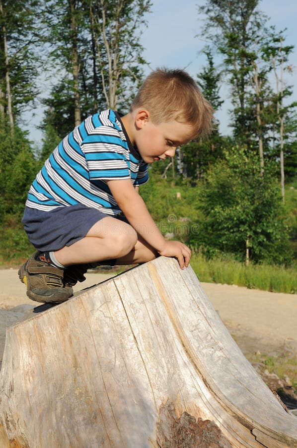 Child on tree stool
