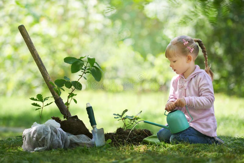 Child watering just planted tree. Children will save the earth