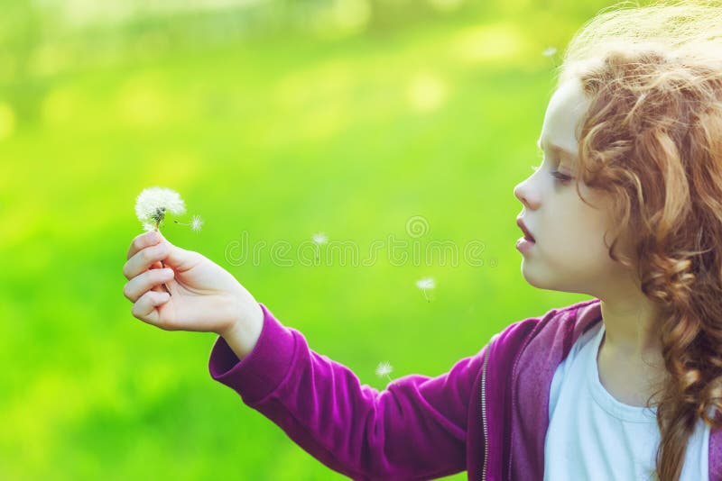 Child with white dandelion in your hand. Background toning instagram filter. royalty free stock photo