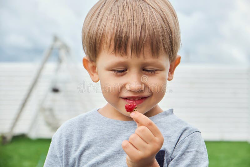 Child 4 Years Old Holding and Eating Raspberries in Backyard Stock