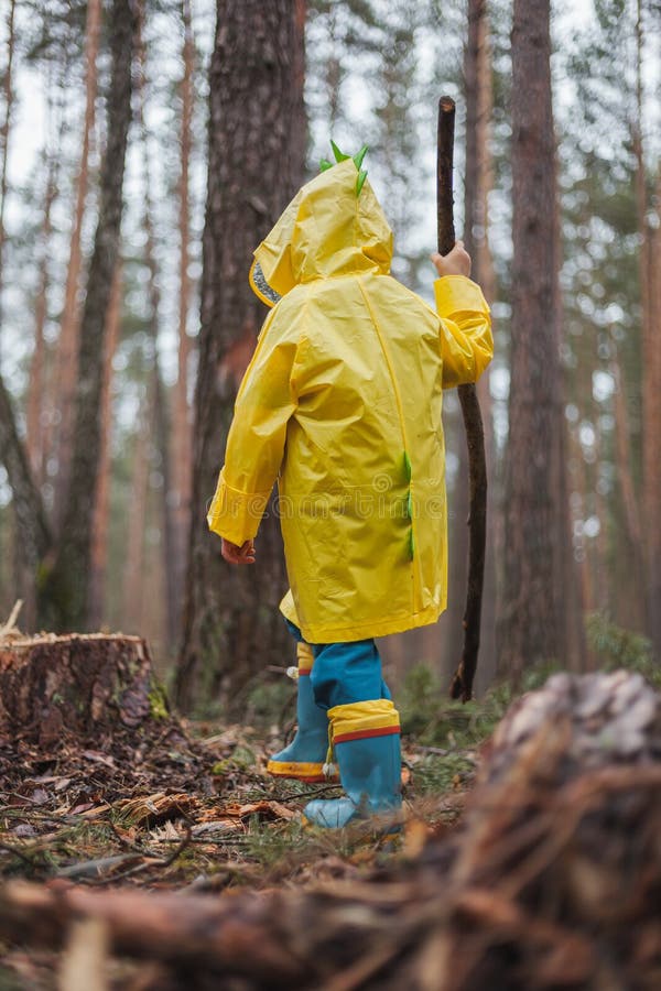 Child in Yellow Raincoat Walking in the Forest and Fun, Back View Stock