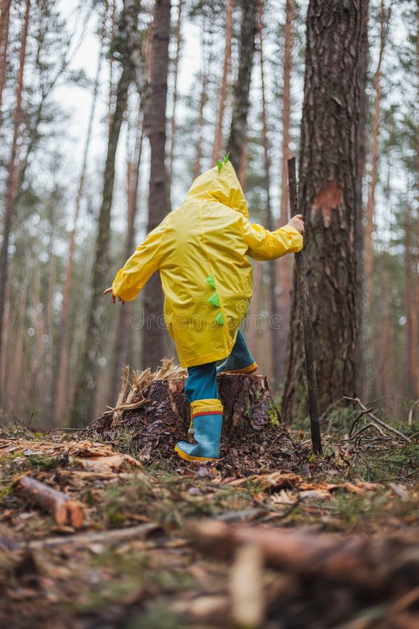 Child in Yellow Raincoat Walking in the Forest and Fun, Back View Stock