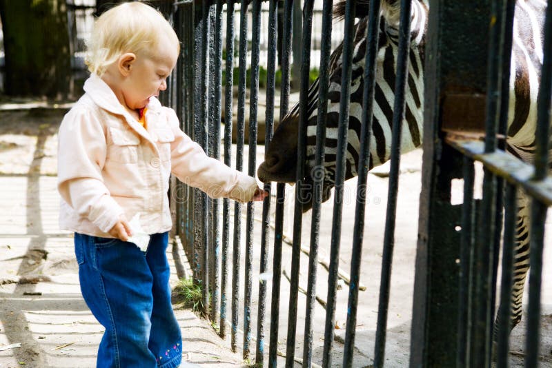 Child and zebra