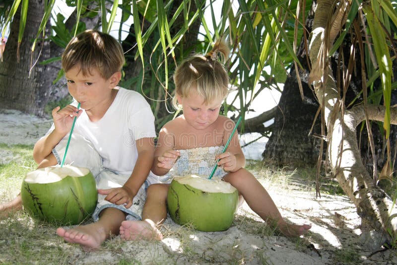Children Drinking Coconut Juice Under Palm Tree Stock Photo Image of