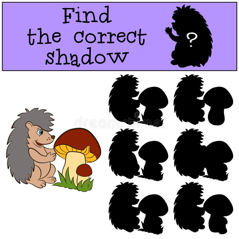 Children games: Find the correct shadow. Little cute hedgehog.