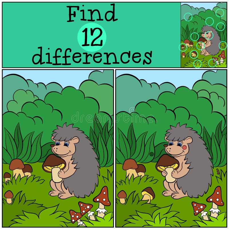 Children games: Find differences. Little cute hedgehog.