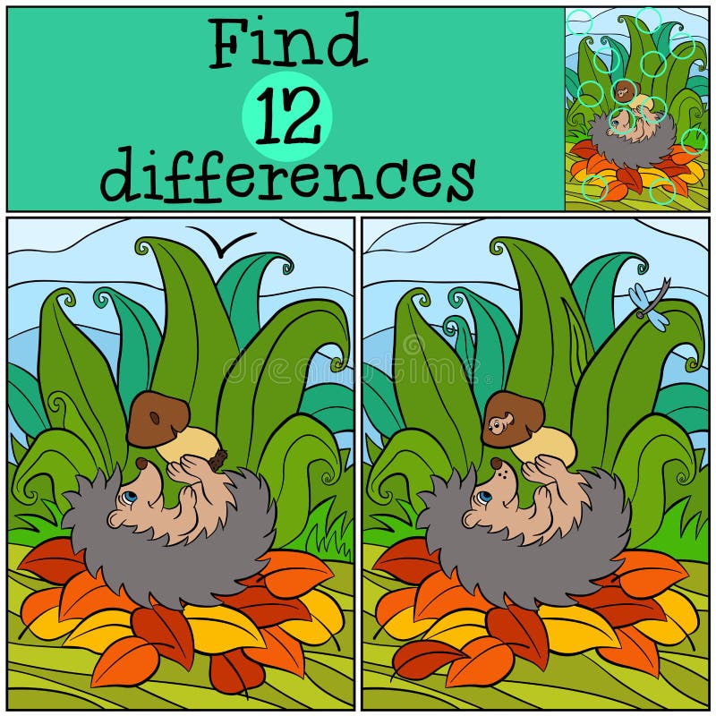 Children games: Find differences. Little cute hedgehog.