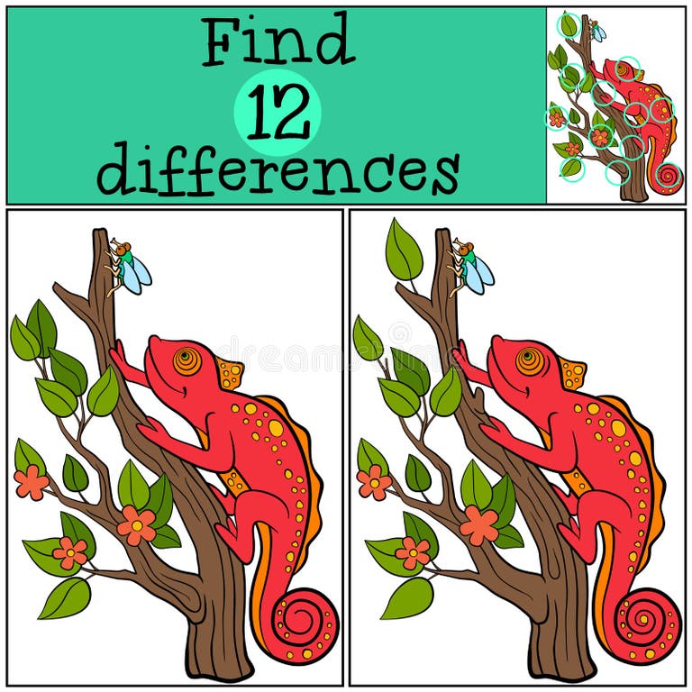 Difference Lizard Stock Illustrations – 48 Difference Lizard Stock